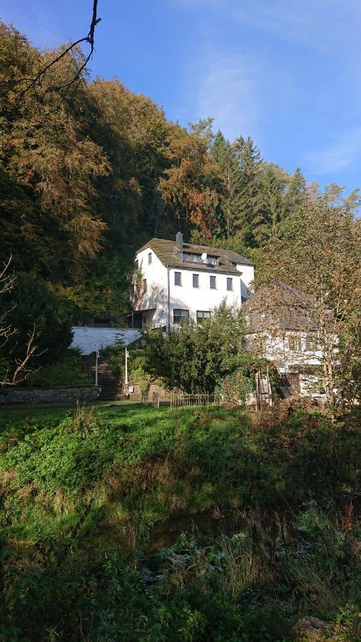 Schönecken Ferienwohnung Haus Schoeneck מראה חיצוני תמונה